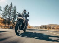 PAN AMERICA™ 1250 SPECIAL