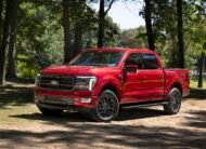 BRASAL FORD F-150 2025 DE R$545.000 POR R$490.000